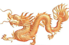 1976年属什么,动荡岁月中的中国生肖纪年