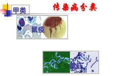 甲类传染病是指,防控重点与紧急应对策略