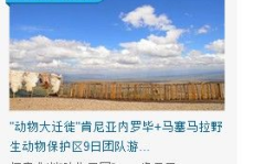 麦豆旅游网,一站式旅游服务平台，打造个性化出行体验