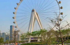 深圳逛街的风景地方推荐,深圳繁华与自然交融的逛街胜地推荐