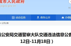 晋城车辆违章查询,便捷查询与处理指南”