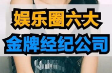 中国娱乐圈的公司,崛起与影响力解析