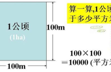 1平方千米等于多少公顷,面积单位换算解析