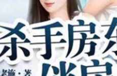 杀手房东俏房客小说,包租公的都市传奇