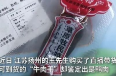 主播卖的牛肉干实为鸭肉干,主播卖假牛肉干，鸭肉冒充高价牛肉，消费者权益如何保障？
