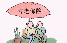 城乡居民基础养老金,提升标准，助力养老保障体系完善”