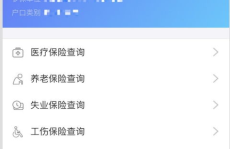深圳市社保查询个人账户,轻松掌握账户详情