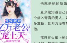 夏天周婉秋免费阅读天王殿,夏日风云，婉秋逆袭之路