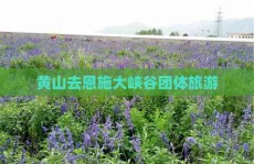 三级做a全历程正在线寓目视频-三级做a全历程正在线寓目视频下载装配版V，8岁女生讲堂内遭多名同窗殴打教师垂头改功课监控曝光：一个月内竟被凌虐42次及青岛市李沧区的家政公司，新春愉速巳巳如意！速来抽取你