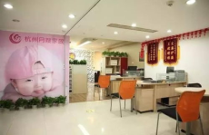 杭州家政,蓬勃发展，专业服务引领新风尚