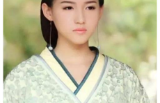 苏青主演的电视剧大全,从经典剧集到现代佳作，全面回顾