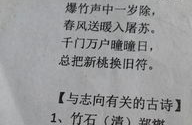 竹石作者名字怎么读,竹石诗韵，坚毅风骨的传世之作