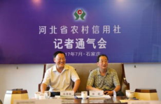 中国金融界网,洞察金融动态，引领行业趋势