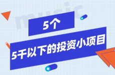 小投资赚钱项目,轻松实现财富增长的五大投资项目揭秘