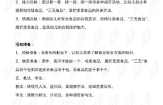 九年级下食品安全我知道教案全册,全册知识要点精讲与实操指南